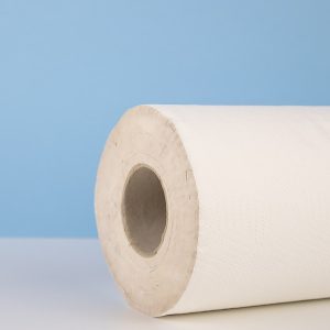 Papel camilla 2 capas micro encolado