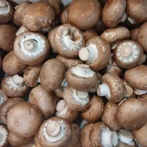 Champiñón Portobello Ecológico Al Peso, 100 grs