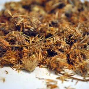 Árnica, Flor Trit. (Arnica Montana)