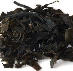 Fucus, Alga (Fucus Vesiculosus)